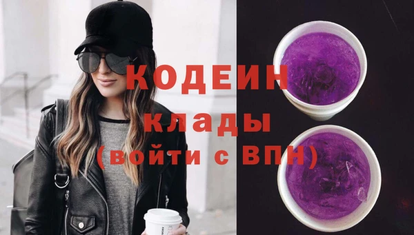 шишки Бронницы