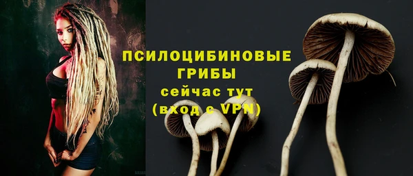 прущие крисы Верхний Тагил