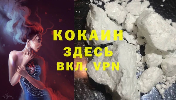 дмт Верея