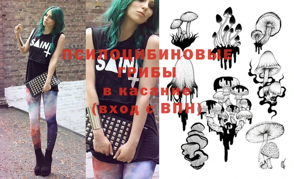 шишки Бронницы