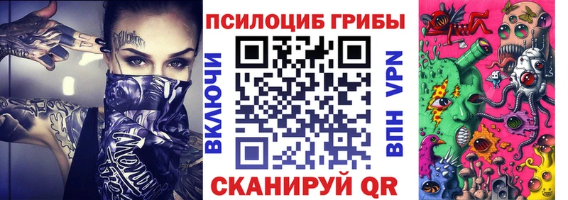 Галлюциногенные грибы Psilocybine cubensis  блэк спрут вход  Одинцово 